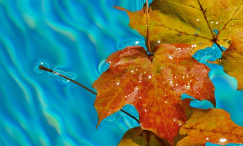 Anatolia Pool & Spa
